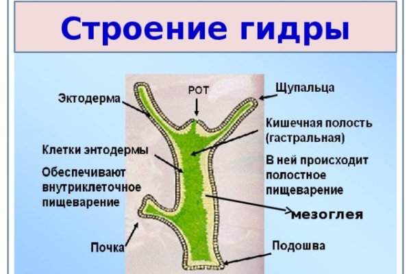 Кракен рабочее на сегодня сайт